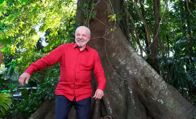 FILE - Brazil's President Luiz Inacio Lula da Silva poses for a photo next to a Samauma tree ahead of the COP30 U.N. Climate Summit, in Belem, Brazil, Nov. 5, 2025. (AP Photo/Eraldo Peres, File)