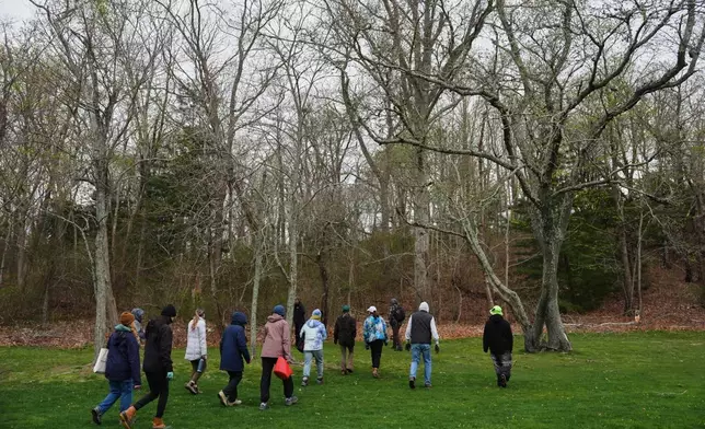 Volunteers walk into the woods at Miantonomi Park to collect native tree seedlings Wednesday, April 22, 2026, in Newport, R.I. (AP Photo/Joshua A. Bickel)