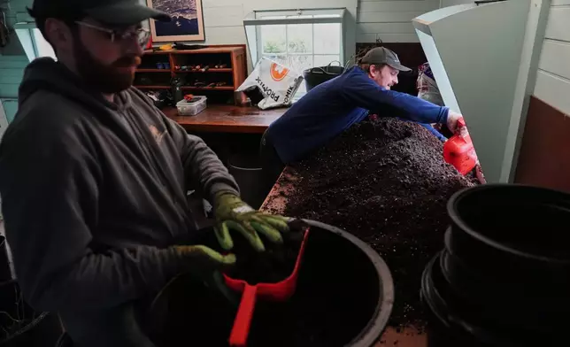 Joe Verstandig, right, and Ian Delmonico, left, mix soil for native tree seedlings at a nursery Wednesday, April 22, 2026, in Newport, R.I. (AP Photo/Joshua A. Bickel)