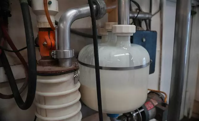 A receive jar collects raw milk from cows before it is eventually pasteurized at Ronnybrook Farm in Ancramdale, N.Y., on April 22, 2026. (AP Photo/Mary Conlon)