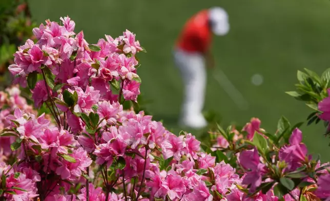 Sungjae Im, of South Korea, chips to the green on the 16th hole during a practice round ahead of the Masters golf tournament at the Augusta National Golf Club, Tuesday, April 7, 2026, in Augusta, Ga. (AP Photo/Matt Slocum)