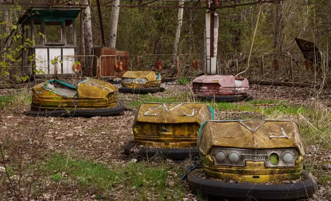 Bumper cars sit idle at an overgrown amusement park in Pripyat, Ukraine, a town left abandoned following the nearby 1986 Chernobyl nuclear disaster, Tuesday, April 21, 2026. (AP Photo/Evgeniy Maloletka)