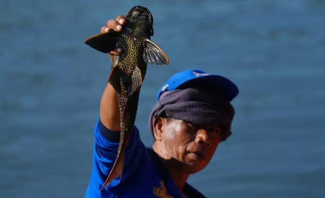 A municipal workers holds up a janitor fish he catches during a campaign to remove the invasive species from the city's rivers, canals and water reservoirs, in Jakarta, Indonesia, Friday, April 24, 2026.(AP Photo/Tatan Syuflana)