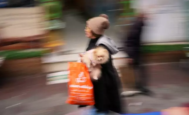 A woman carries her pet as she walks along a street market near Tajrish Bazaar in Tehran, Iran, Tuesday, April 7, 2026. (AP Photo/Francisco Seco)