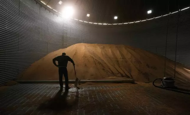 Doug Bartek takes a break from shoveling soybeans in a bin on his farm near Wahoo, Neb., on Monday, April 6, 2026. (AP Photo/Charlie Riedel)