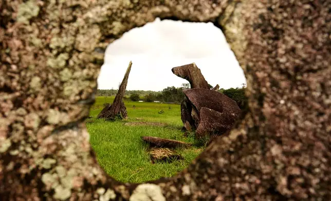 The Archaeological Park of the Solstice, which some call the "Stonehenge of the Amazon" is visible in Calcoene, Amapa state, Brazil, Friday, March 13, 2026. (AP Photo/Eraldo Peres)