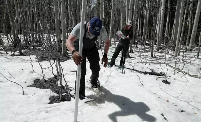 Clinton Whitten and hydrologist Maureen Gutsch, back, measure snow, Monday, March 30, 2026, in Kremmling, Colo. (AP Photo/Brittany Peterson)