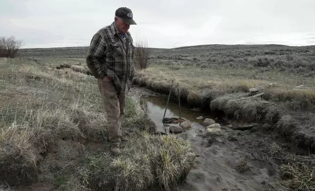Philip Anderson looks at a dry ditch that usually transports water for stock and irrigation, Tuesday, March 31, 2026, in Walden, Colo. (AP Photo/Brittany Peterson)