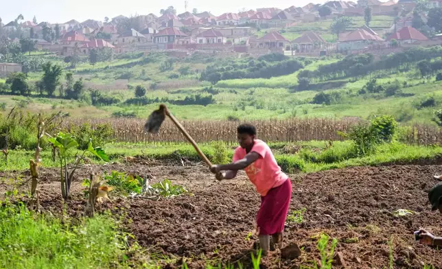 A farmer prepares the soil for planting at a farm in Kigali, Rwanda, March 17, 2026. (AP Photo/Brian Inganga)