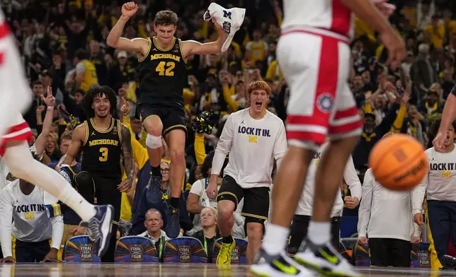 Michigan's Will Tschetter (42) and Elliot Cadeau (3) celebrate during the second half of an NCAA college basketball tournament semifinal game against Arizona at the Final Four, Saturday, April 4, 2026, in Indianapolis. (AP Photo/Michael Conroy)