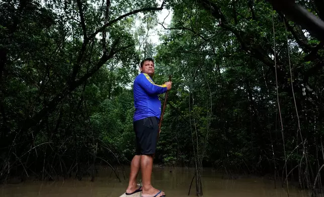 Edervan Forte dos Santos, from the Galibi Kali'na community, steers his boat toward mangroves in the biodiversity conservation area of Cabo Orange, in Oiapoque, Amapa state, Brazil, Thursday, March 12, 2026. (AP Photo/Eraldo Peres)