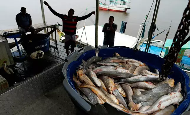Fishers unload their catch from a boat at a trading port on the banks of the Oiapoque River in the city of Oiapoque, Amapa state, Brazil, Tuesday, March 10, 2026. (AP Photo/Eraldo Peres)