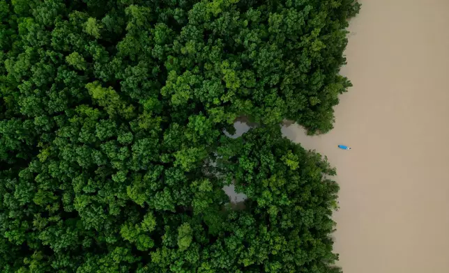 A fisherman's boat sails at the mouth of the Uaca River, in the Uaca Indigenous Territory region, near the mangrove and biodiversity conservation area of Cabo Orange, in Oiapoque, Amapa state, Brazil, Thursday, March 12, 2026. (AP Photo/Eraldo Peres)
