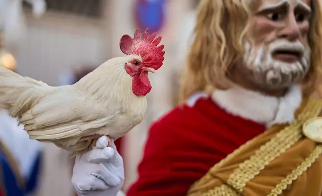 A penitent depicting an apostle marches holding a rooster during a Holy Week procession of the "Hermandad de Nuestro Padre Jesus Nazareno" brotherhood in Puente Genil, southern Spain, Friday, April 3, 2026. (AP Photo/Manu Fernandez)