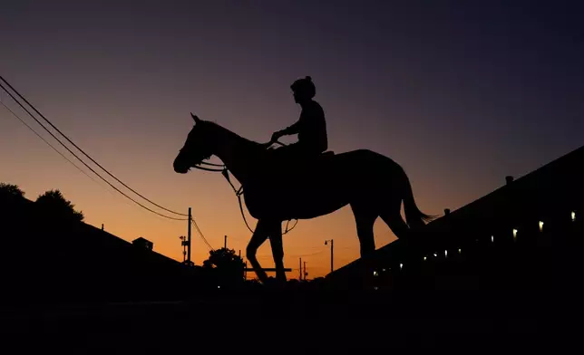 A horse heads to the track for a workout at Churchill Downs Thursday, April 30, 2026, in Louisville, Ky. (AP Photo/Charlie Riedel)