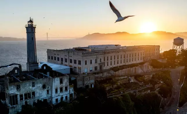 FILE - A bird flies above Alcatraz Island, May 4, 2025, in the San Francisco Bay, Calif. (AP Photo/Noah Berger, File)