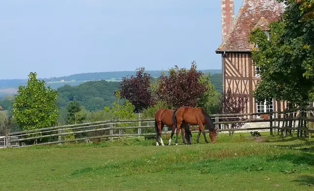 Deauville is a coastal tourist destination in the northwest of France, where equestrian sports perfectly blend with its long-standing history, cultural heritage, and leisure activities.