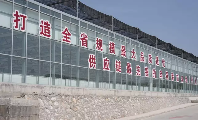 The vegetable production base in Xining, Photo by Bastille Post