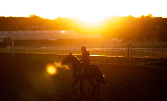 A horse works out at Laurel Park during sunrise, Friday, May 8, 2026, in Laurel, Md. (AP Photo/Julia Demaree Nikhinson)