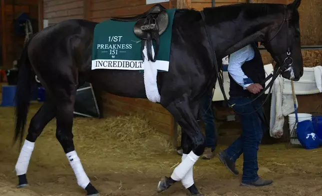 Incredibolt walks through a barn ahead of the 102nd running of the Black-Eyed Susan horse race, Friday, May 15, 2026, at Laurel Park in Laurel, Md. (AP Photo/Julia Demaree Nikhinson)
