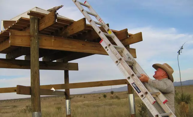 FILE - Ranch Manager Tom Waddell prepares to feed a group of endangered northern Aplomado falcons, Oct. 3, 2006, at Ted Turner's Armendaris Ranch in southern New Mexico. (AP Photo/Susan Montoya Bryan)