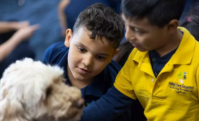Kaleb, center, pets Sage, a therapy dog, at Valley View Elementary School on April 29, 2026, in Columbia Heights, Minn. (Ellen Schmidt/MinnPost via AP)