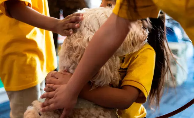 Students embrace Sage, a therapy dog, at Valley View Elementary on April 29, 2026, in Columbia Heights, Minn. (Ellen Schmidt/MinnPost via AP)