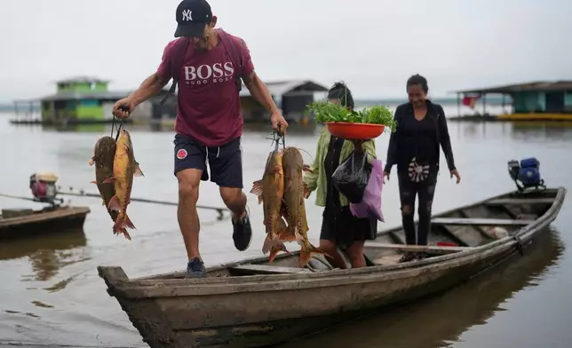 FILE - A man unloads fresh fish from a boat in Puerto Narino, Colombia, along the Amazon River, Sept. 7, 2025. (AP Photo/Fernando Vergara, File)