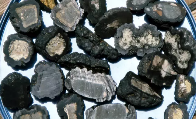 This undated photo provided by the U.S. Geological Survey shows ferromanganese nodules collected from seamounts in the Pacific Ocean. (U.S. Geological Survey via AP)