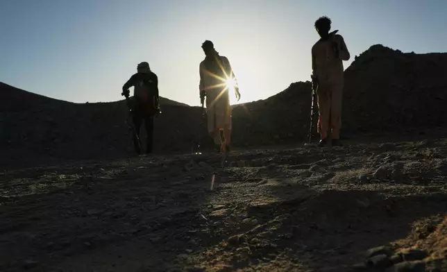 Miners use metal detectors to search for gold at an artisanal mining site in Dalago Mahas, Sudan's Northern State, Thursday, May 7, 2026. (AP Photo/Mohnd Blal)