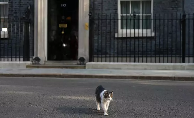Larry the cat, Chief Mouser to the Cabinet Office leaves 10 Downing Street during a cabinet meeting in London, Tuesday, May 12, 2026 as Britain's Prime Minister Keir Starmer is facing the biggest threat yet to his authority after a growing number of disaffected lawmakers called for him to step down.(AP Photo/Kirsty Wigglesworth)