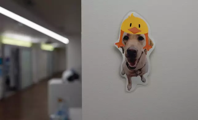 A laminated image of Cincinnati Children's Hospital facility dog Hadley, wearing a duck on her head, is posted in a hallway at Cincinnati Children's Hospital in Cincinnati, Monday, May 4, 2026. (AP Photo/Carolyn Kaster)