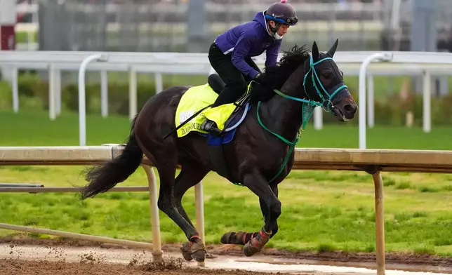 Kentucky Derby entrant Danon Bourbon works out at Churchill Downs Tuesday, April 28, 2026, in Louisville, Ky. (AP Photo/Charlie Riedel)