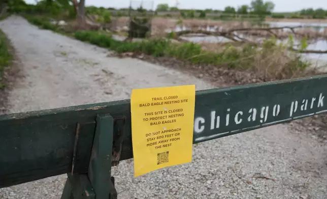 A trail closed sign is posted near the site where a pair of bald eagles are raising two eaglets on the south side of Chicago, Tuesday, May 12, 2026. (AP Photo/Erin Hooley)