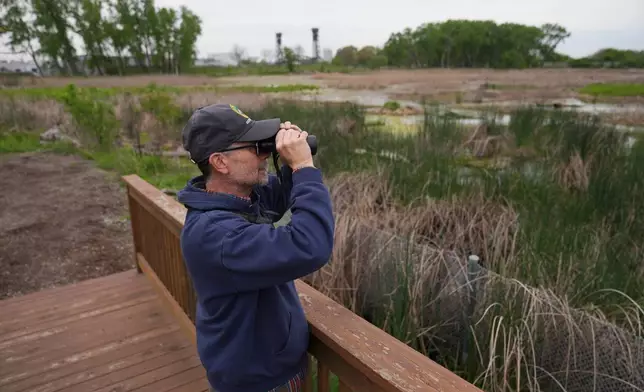 Supervisor Stephen Bell stands in Park No. 597, where a pair of bald eagles are raising two eaglets, on the south side of Chicago, Tuesday, May 12, 2026. (AP Photo/Erin Hooley)
