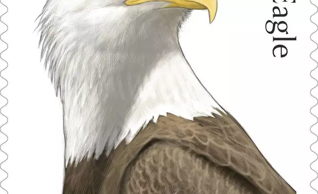 This image provided by the United States Postal Service shows a new stamp being released Thursday, May 14, 2026, featuring an adult bald eagle. (United States Postal Service via AP)