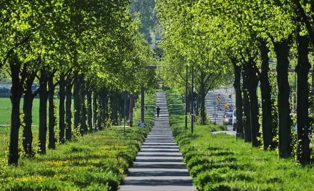 FILE - A man runs through an alley on the outskirts of Frankfurt, Germany, April 23, 2026. (AP Photo/Michael Probst, File)