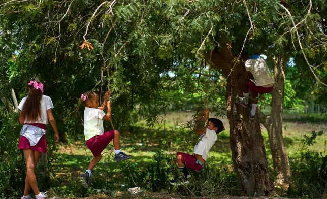 Children play under a tamarind fruit tree in Minas, Havana province, Cuba, Friday, April 24, 2026. (AP Photo/Ramon Espinosa)