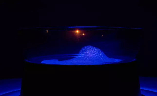 "Fermata: Hong Kong in Venice" Collateral Event of the 61st Venice Biennale unveils  Source: HKSAR Government Press Releases