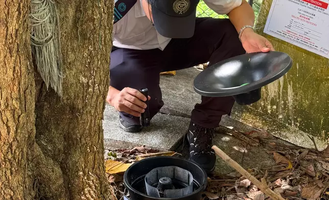 The Food and Environmental Hygiene Department (FEHD) today (May 14) released the second batch of gravidtrap indexes and density indexes for Aedes albopictus in May, covering 13 survey areas. Photo shows an FEHD staff member inspecting a new mosquito trap at a school in Kwun Tong Central, Kwun Tong District. Source: HKSAR Government Press Releases