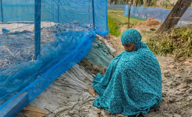 Shahida Khatun, mother of Mohammad Abdullah Al Mamun, sits beside her son's grave in Rasulpur village, Mymensingh district, Bangladesh, Friday, April 17, 2026. (AP Photo/Rajib Dhar)