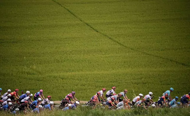 France's Paul Magnier, cyclamen jersey in the middle of the pack, during Stage 9 of the Giro d'Italia cycling race, from Cervia to Corrno alle Scale, Italy, Sunday May 17, 2026. (Marco Alpozzi/LaPresse via AP)