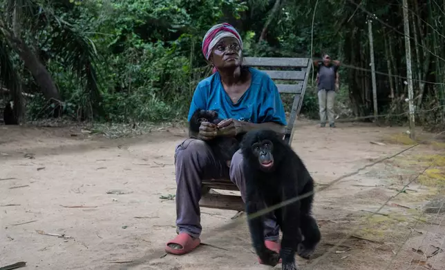 Micheline Nzonzi cares for an infant bonobo at the Lola ya Bonobo sanctuary in Kinshasa, Democratic Republic of the Congo, Wednesday, April 8, 2026. (AP Photo/Samy Ntumba Shambuyi)