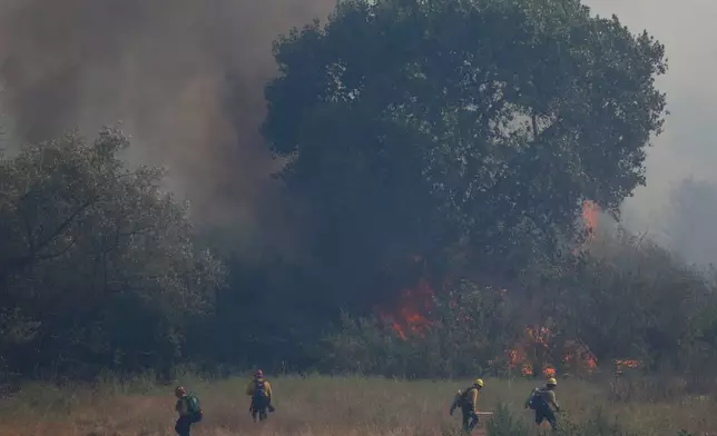 Firefighters battle the Sandy Fire Tuesday, May 19, 2026, in Simi Valley, Calif. (AP Photo/Caroline Brehman)