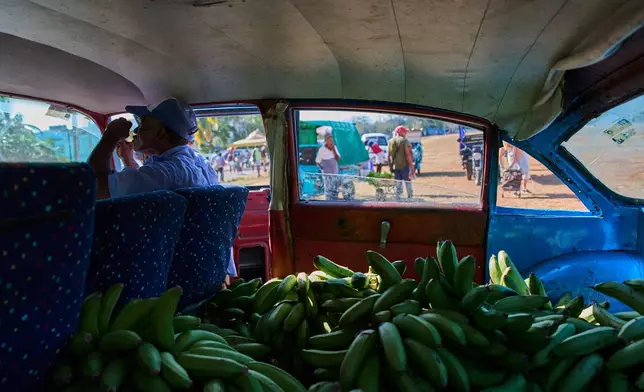 A vendor sits in the passenger seat of an American classic car, its back seat filled to the brim with bananas, while waiting for customers at a produce fair in Alamar, Havana province, Cuba, Saturday, May 2, 2026. (AP Photo/Ramon Espinosa)