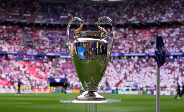 The trophy is displayed on the pitch before the Champions League final soccer match between Paris Saint-Germain and Arsenal in Budapest, Hungary, Monday, Jan. 1, 2024. (AP Photo/Petr Josek)