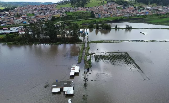 FILE - A strawberry farm is flooded after the Botello River overflowed due to heavy rain in Facatativa, Colombia, March 20, 2026. (AP Photo/Fernando Vergara, File)