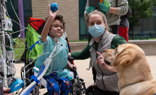 Five-year-old patient Calvin Owens throws a ball for facility dog Hadley with physical therapist Paige Torbet, right, during a physical therapy visit on the patio of Cincinnati Children's Hospital in Cincinnati, Monday, May 4, 2026. (AP Photo/Carolyn Kaster)
