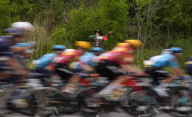 The pack rides past a fan waving an Italian flag, during the 7th stage of the Giro d'Italia cycling race, from Formia to Blockhaus, Italy, Friday May 15, 2026. (Fabio Ferrari/LaPresse via AP)