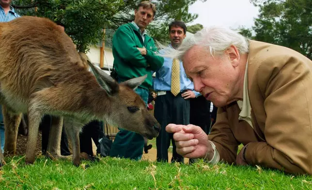 FILE - David Attenborough, watched by zoo staff, reaches out to a kangaroo during his visit to Taronga Zoo in Sydney, Australia, Oct. 14, 2003. (AP Photo/Dan Peled, File)